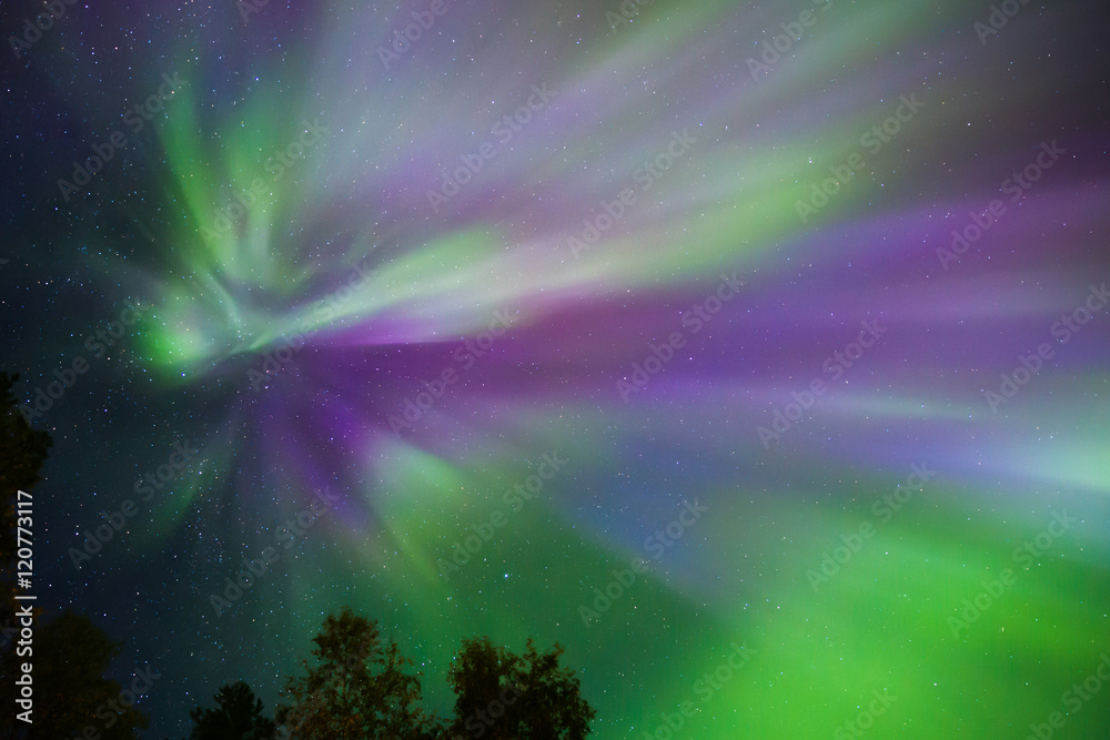 Wall mural northern lights crown (aurora borealis) in the sky