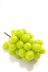 シャインマスカット