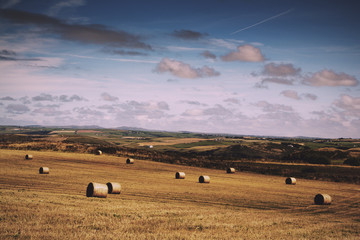 Obraz premium View from the costal path near Polzeath Vintage Retro Filter.