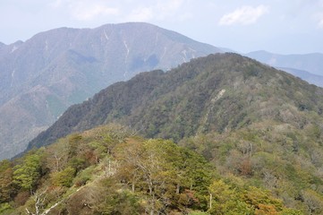 Naklejka premium 丹沢の秋