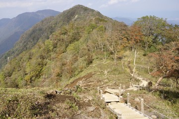 丹沢 紅葉の熊笹ノ峰
