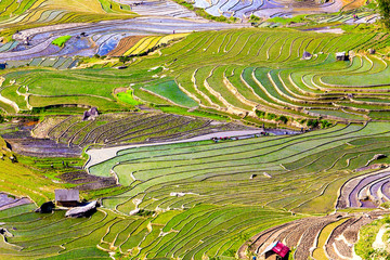 Beautiful terraced rice fields in Vietnam