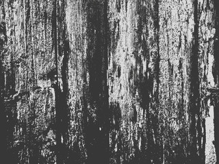Fototapeta premium Grunge white and black background, texture.
