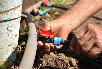 .Faucet with red handle for drip irrigation. Drip Irrigation System Close Up. prepared for planting in early Spring. Working hands.