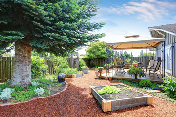Small garden beds at the backyard.