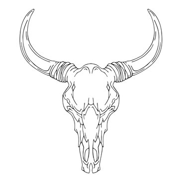 Bull head skull vector illustration side front