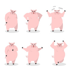 Pig set of different poses. Expression of wild boar emotions. Fa