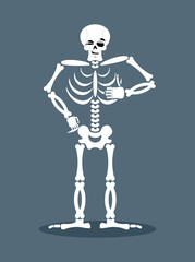 Skeleton showing thumbs up. Signs all right. Happy skull. Bone H