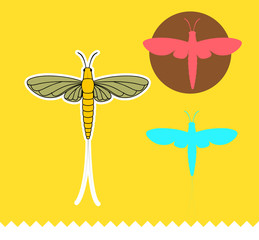 Mayfly Insects Vector
