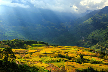 Beautiful terraced rice fields in Vietnam