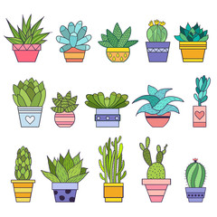 Colorful vector illustration of succulents and cactus in the pots.