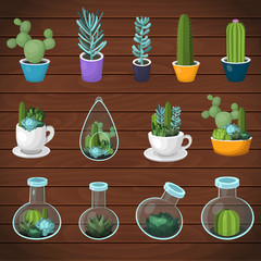 Colorful vector cactus and succulent set.