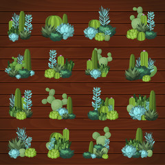 Colorful vector cactus and succulent set. 