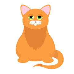 Obraz premium Ginger cat isolated on a white background