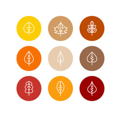 Vector autumn leaves icons set