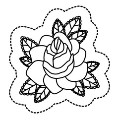 Rose flower plant icon. Garden floral and decoration theme. Isolated design. Vector illustration