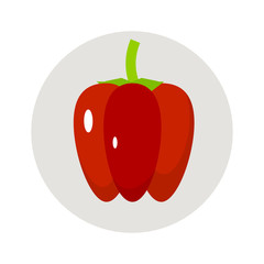 Pepper flat icon, raw vegan food, vegetable harvest vector illustration