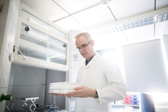 Male meteorologist examining test tube tray in weather station laboratory