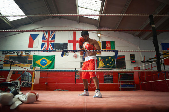 Portrait of boxer in boxing ring - Powered by Adobe