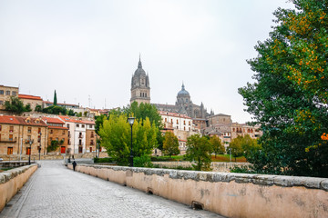 Panoramic view of the historic city of Salamanca with Rio Tormes