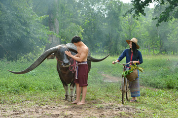 Handsome  man and beautiful woman thai traditional culture with buffalo,Thailand