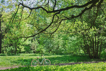 Fototapeta na wymiar Nice and beautiful bicycle in park summer