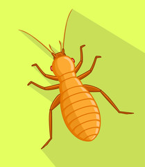 Louse Vector Insect