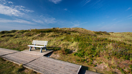 Fototapeta premium beautiful landscape. bench, blue sky.