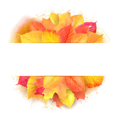 illustration of autumn banner with maple leaf