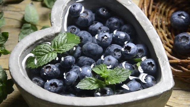 Vaccinium myrtillus Việt quất quả đen Bor&oacute;wka czarna Afin Blauwe bosbes Mirtilli Fekete &aacute;fonya Borovnica Heidelbeere Blueberry Myrtille عنبية آسية Airelle Ar&aacute;ndano Boronica 歐洲越橘 Черника 바키늄 미르틸루스 
