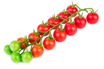 cherry tomatoes twig
