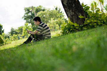 Naklejka na ściany i meble man using smartphone under tree in the park