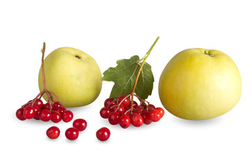 Яблоки и красная ягода-дар осени,изолирован.