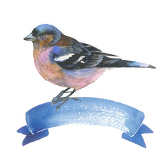 Sky bird sparrow in a wildlife by watercolor style isolated. Wild freedom, bird with a flying wings. Aquarelle bird could be used for background, texture, pattern, frame, border or tattoo.