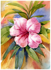 watercolor painting of flower