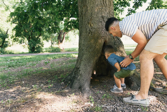 Male toddler with father peering into tree hollow in Pelham Bay Park, Bronx, New York, USA