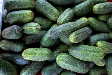 Organic fresh cucumbers