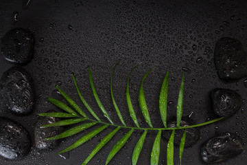 Wet black basalt stones with green leaf, on black background with water droplets