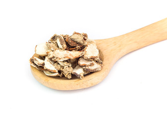 Sand Ginger, Aromatic Ginger, Resurrection Lily , Kaempferia galanga L on white background