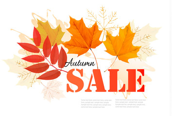 Enjoy Autumn Sales banner with autumn leaves. Vector.