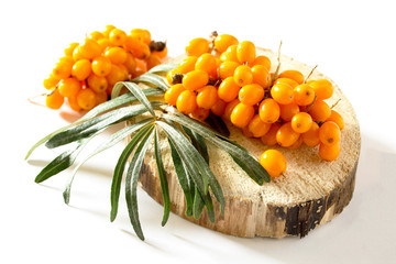 Buckthorn berries branch on a white background.