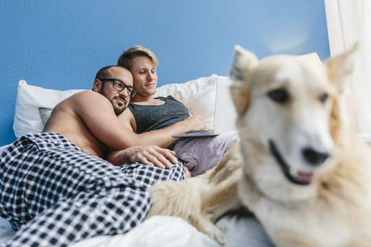 Gay couple with dog lying in bed, using laptop