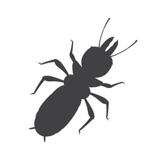 Termite Insect Silhouette Vector - 120796128