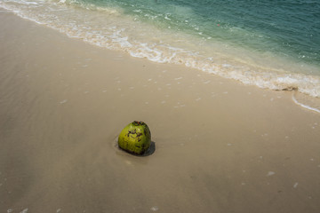 A green coconut is on the sand, Thailand.