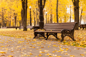 Empty bench in park