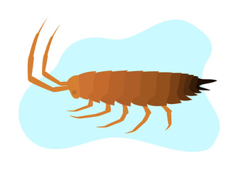 Naklejka premium Woodlouse Insect Vector