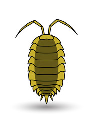 Lice Insect Vector Art