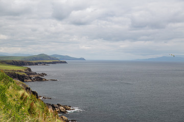 view to ocean at wild atlantic way in ireland