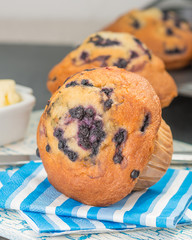 Delicious Blueberry Muffin