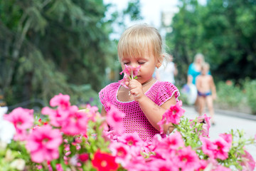 The child, a little girl is smelling the blooming petunias.